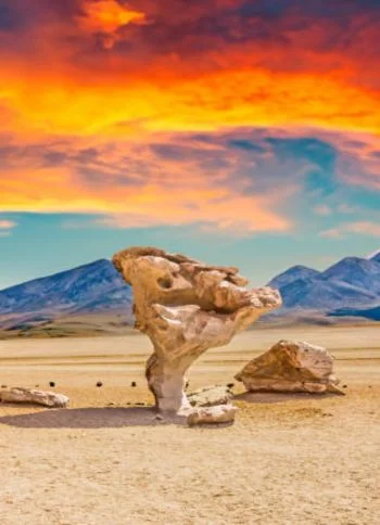 Bolivia-Highlights-Uyuni-Salt-Flats-Adventure-2