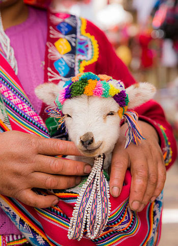 tour-cusco-galeria-03