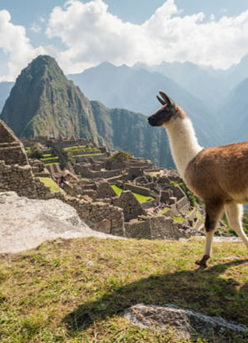 tour-cusco-galeria-05